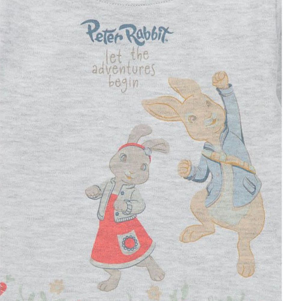 peter rabbit pack of 2 set
